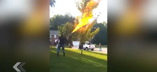 Il détruit les frelons au lance-flammes