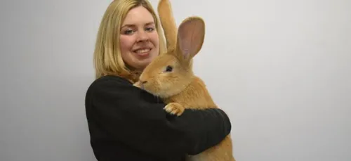 Le lapin géant a trouvé une famille