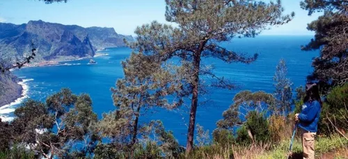 Elle veut rejoindre le paquebot...à la nage!