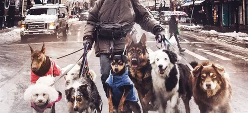 Sortie 08/06: La nouvelle vie de Paul Sneijder