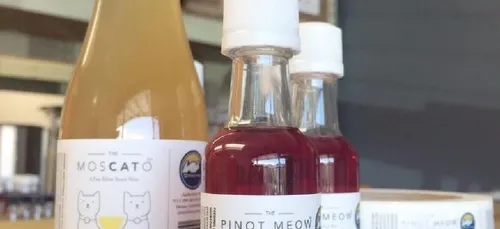 Du vin pour les chats!