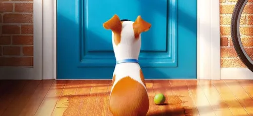 Sortie 27/07: Comme des bêtes