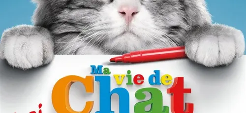Sortie 03/08: Ma vie de chat