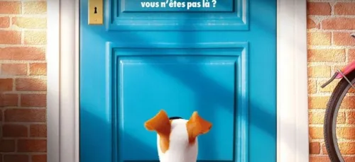 Comme des bêtes aura une suite