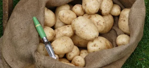 Il invente l'appareil photo patate!