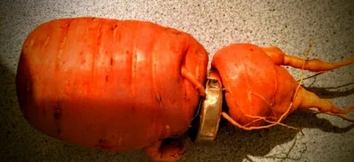 Il retrouve son alliance...dans une carotte! 