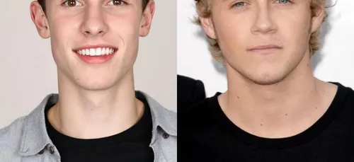 Shawn Mendes et Niall Horan en duo