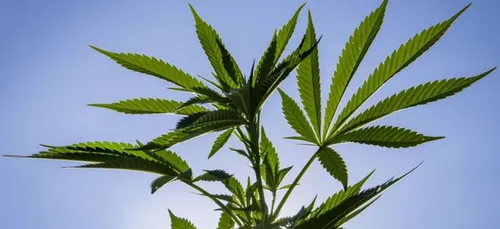 En prison avec...son cambrioleur!