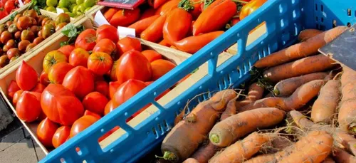 Il attaque le maire...avec une carotte!