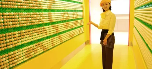 Au Japon, bientôt, il existera des Mayonnaise cafés