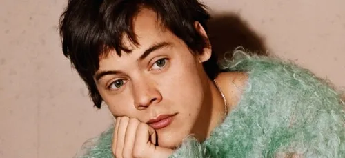 Harry Styles : son incroyable transformation pour son retour en solo !