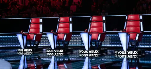 Du changement dans le jury de "The Voice" ?