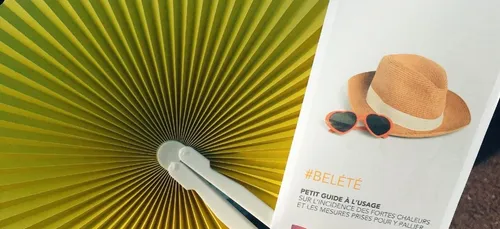 Des éventails distribués sur le RER C contre la chaleur