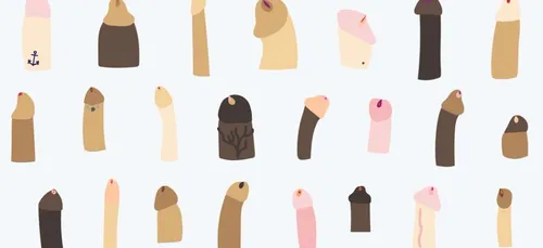 Y a-t-il une taille du pénis idéale ?