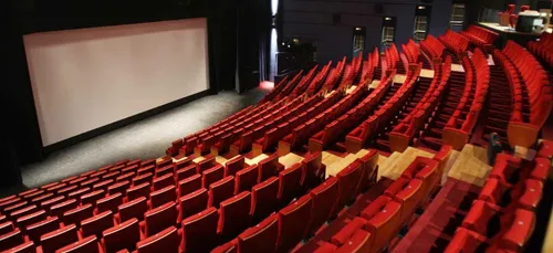 Le cinéma se porte bien en Ile-de-France