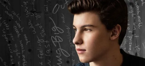 Shawn Mendes gagne tout aux MTV EMAs ! (Vidéo)