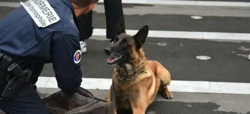 Le poseur de bombe de la COP 21 trahi par son ADN
