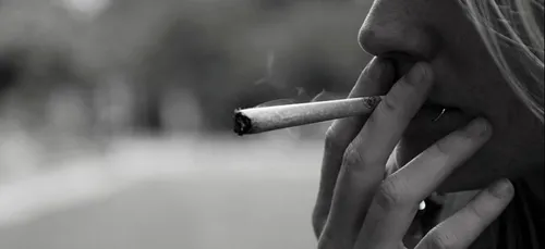 L’amende plutôt que la prison pour les consommateurs de cannabis