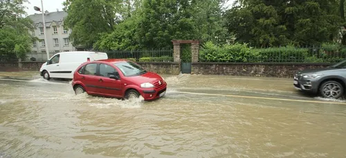 Ils surfent dans les rues inondées par la crue de la Seine (Vidéo)