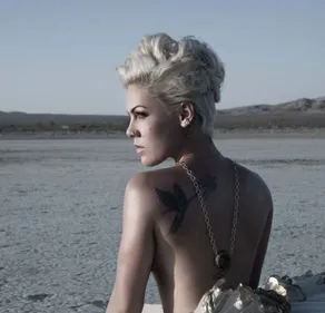 Pink répond aux attaques d’un internaute après sa prestation au...