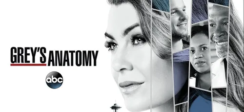 « Grey’s Anatomy » : un nouvel acteur rejoint le casting ! (Photo)
