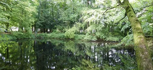 En Seine-Saint-Denis, une chienne découverte dans un sac au fond...