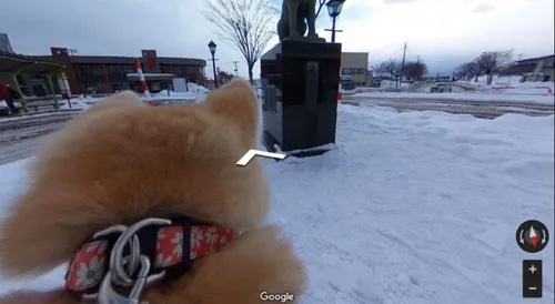 Google Dog View : découvrez le monde à travers une caméra accrochée...