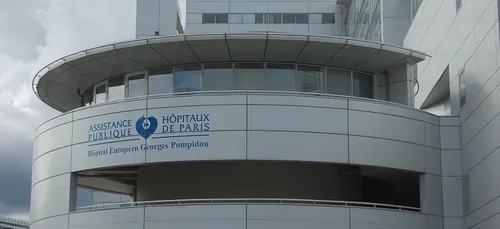 Versailles : l’homme percuté dimanche par la police est mort