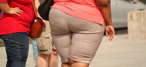 D’ici 2045, près d’un quart de la population pourrait être obèse !