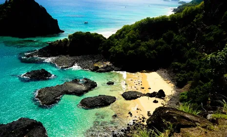 Au large du Brésil, une île où il est interdit d’accoucher