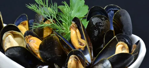 Pour booster votre libido : mangez des moules !