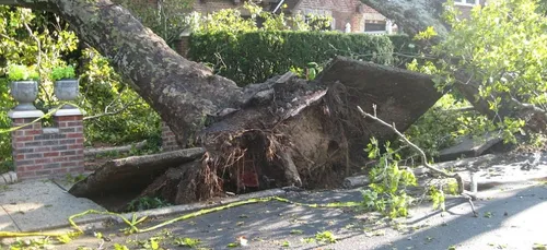 De gros dégâts après le déluge de la nuit en Ile-de-France