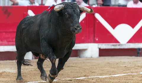 Corrida : Juan José Padilla se fait scalper en direct par un...