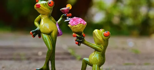 « Elle a dit non » : une demande en mariage ratée sur les...