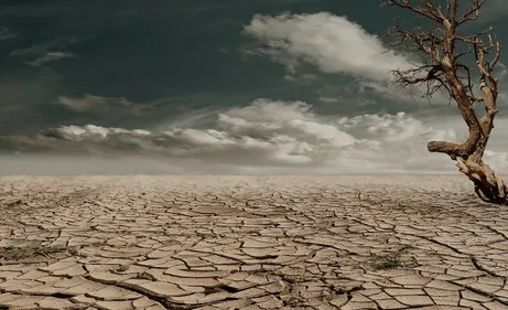 La chaleur rendra ces pays complètement inhabitables en 2070