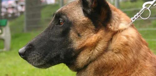 Seine-Saint-Denis : découvert mort, l'homme avait commencé à être...