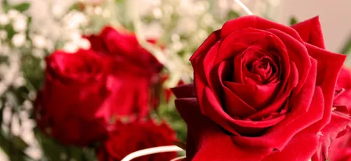 Une fête récompensant les jeunes femmes "vierges" est annulée dans...