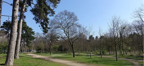 Bois de Boulogne : l’enquête avance après le meurtre d’une...