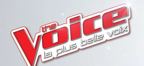 The Voice : découvrez les nouveaux coachs de la saison 8 !
