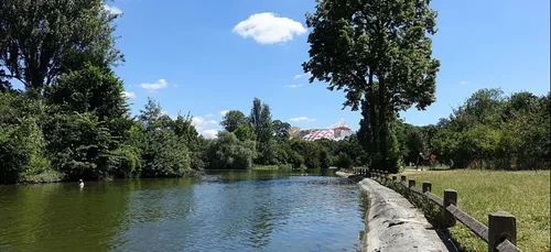 Des organes ont été découverts au bois de Boulogne
