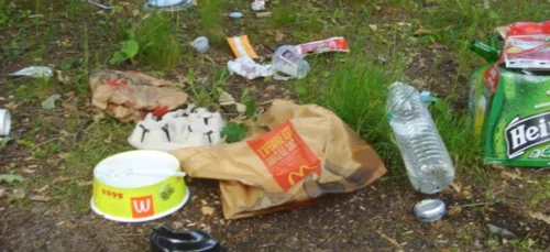 McDonald’s et KFC sont dans le viseur d’une association...