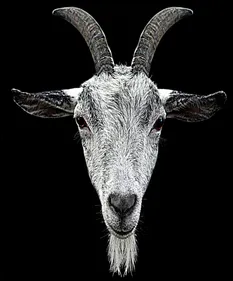 Deux fœtus et un bébé momifiés retrouvés dans un appartement à Paris