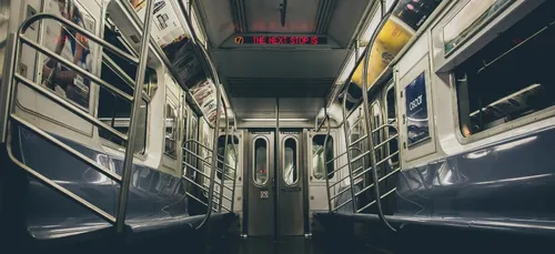 Une femme prend le métro avec un énorme renard sur l’épaule (vidéo)