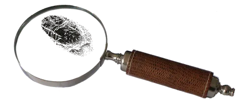 Yvelines : Reprise des fouilles chez l’une des ex-femmes de Michel...