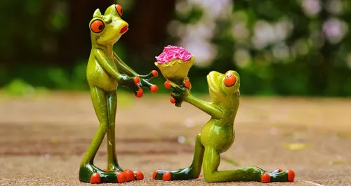 Il fait sa demande en mariage et lâche la bague dans les égouts !...