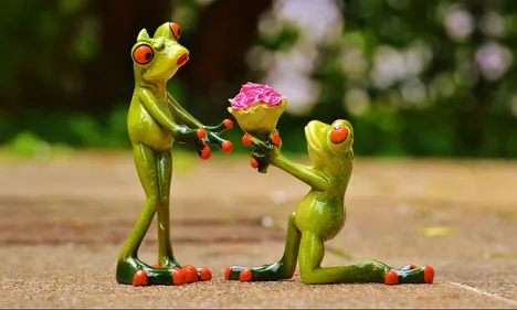 Malgré 3 mois de préparation, un imprévu gâche sa demande en...