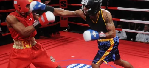 Essonne : un ancien boxeur professionnel recherché pour violences...