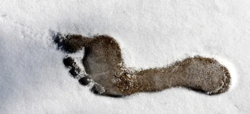 Hauts-de-Seine : une vidéo d’enfants pieds nus dans la neige fait...