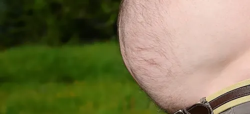 Plus on a un gros ventre, moins on a de cerveau !