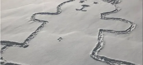 Le mystère du nombril de l’ours géant dessiné dans la neige résolu...